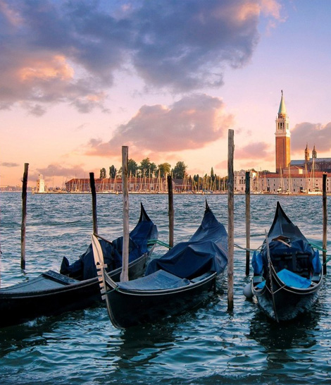 Background Contact Info